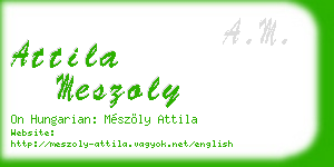 attila meszoly business card
