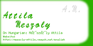 attila meszoly business card